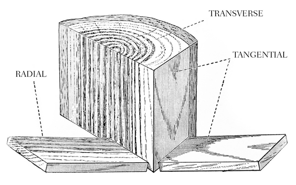 Issue Eighteen T.O.C. – Levi O’Brien – “Characteristics for Recognizing Wood”